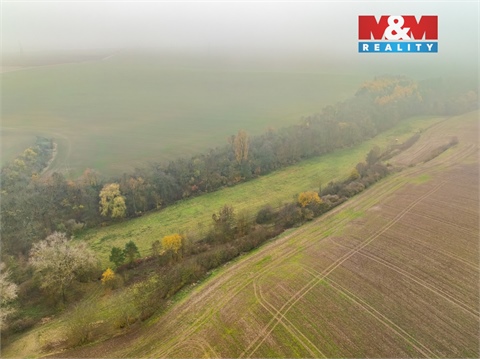 Prodej zemědělské půdy, 8 999 m² 2