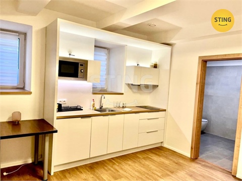 Pronájem bytu 1kk, 30 m² - 0