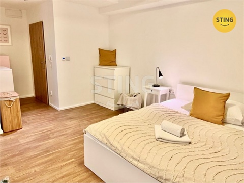 Pronájem bytu 1kk, 30 m² - 6