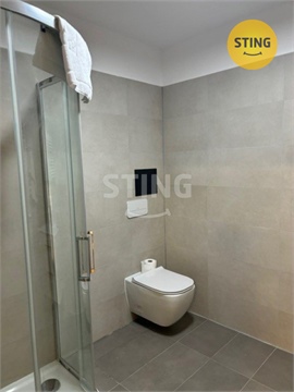 Pronájem bytu 1kk, 30 m² 10