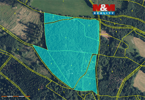 Prodej lesu, 19 245 m² 0