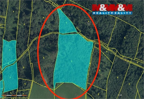 Prodej lesu, 29 330 m² 0