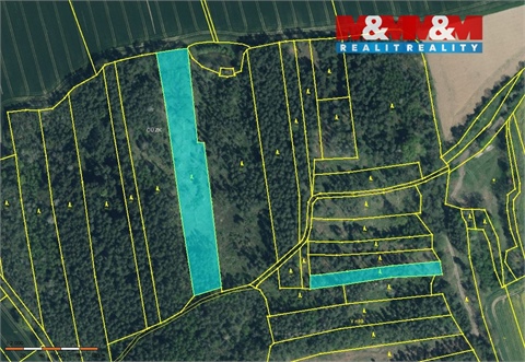 Prodej lesu, 10 323 m² - 0