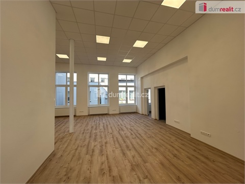 Pronájem skladu / haly, 263 m² - 8