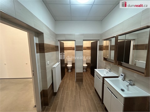 Pronájem skladu / haly, 263 m² - 4