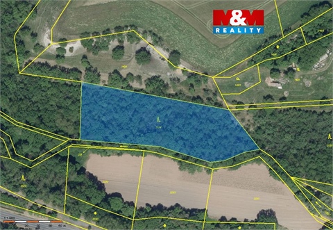 Prodej lesu, 6 203 m² 0