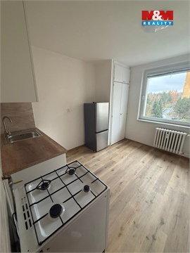 Pronájem bytu 1+1, 46 m² 10