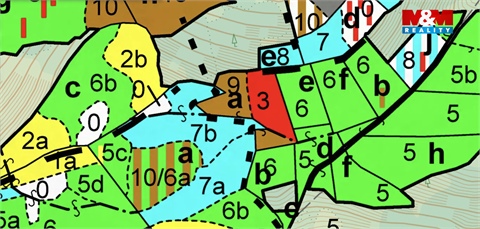 Prodej lesu, 5 438 m² - 0