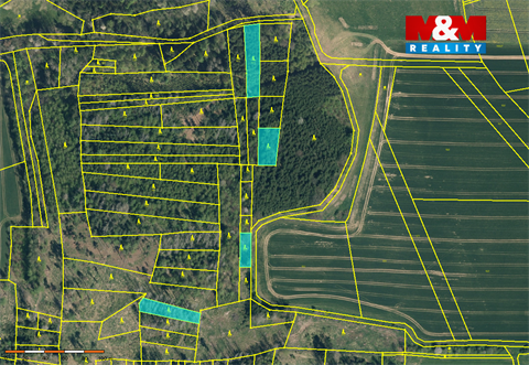 Prodej lesu, 19 561 m² - 2