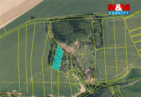 Prodej lesu, 19 561 m² 2