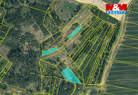 Prodej lesu, 19 561 m² - 4
