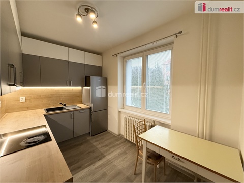 Pronájem bytu 2+1, 53 m² - 0