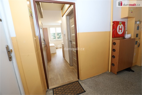 Pronájem bytu 1kk, 26 m² 16