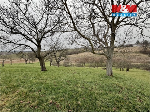 Prodej zahrady, 901 m² - 4