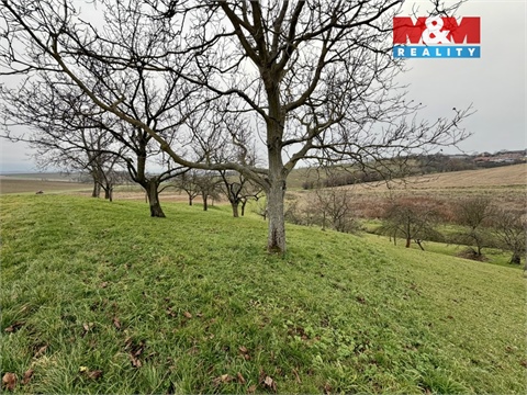 Prodej zahrady, 901 m² - 0