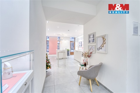 Pronájem obchodních prostor, 116 m² - 8