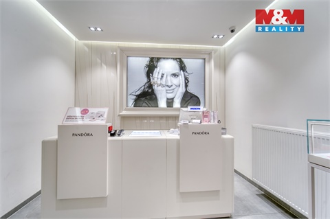 Pronájem obchodních prostor, 116 m² 8