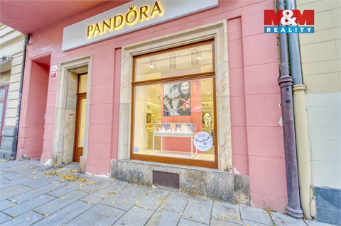 Pronájem obchodních prostor, 116 m² 18