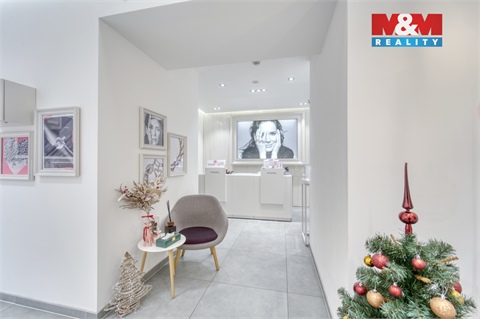 Pronájem obchodních prostor, 116 m² - 6