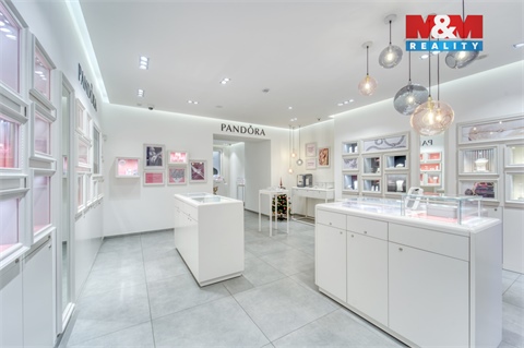 Pronájem obchodních prostor, 116 m² 6