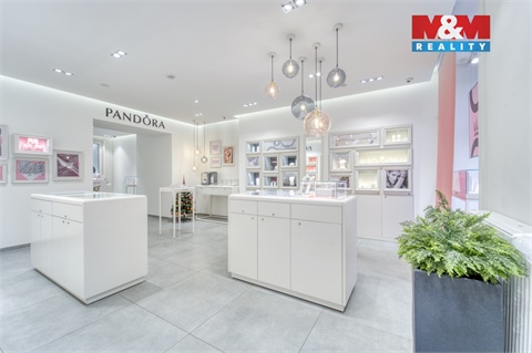 Pronájem obchodních prostor, 116 m² - 4