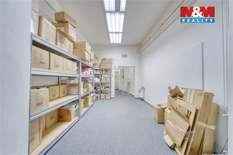Pronájem obchodních prostor, 116 m² - 10