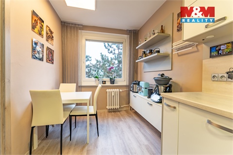 Prodej bytu 3+1, 73 m² 4