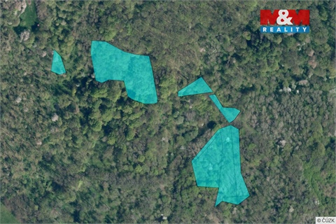 Prodej lesu, 13 742 m² - 2
