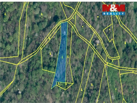 Prodej lesu, 13 742 m² 2