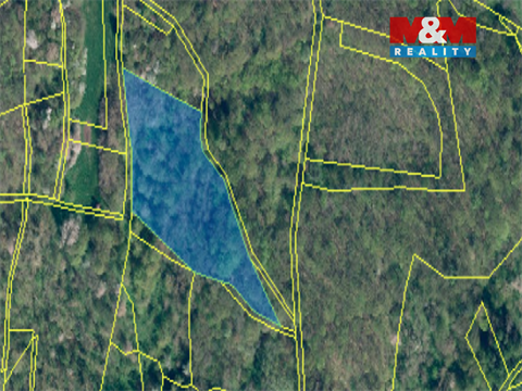 Prodej lesu, 23 830 m² - 0