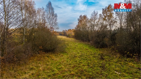 Prodej louky, 5 589 m² 12