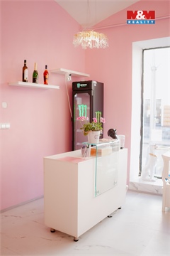 Prodej obchodních prostor, 65 m² 14