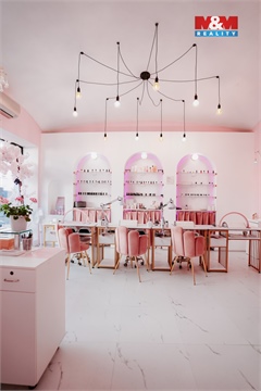 Prodej obchodních prostor, 65 m² 16