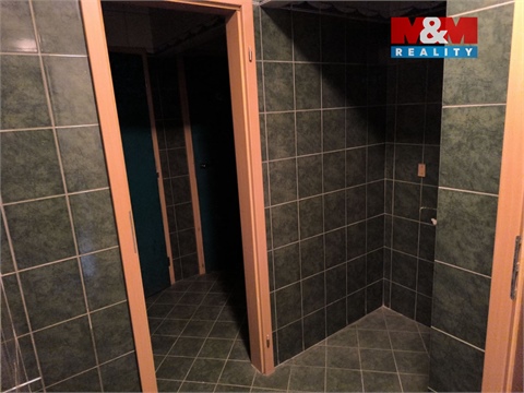 Prodej obchodních prostor, 170 m² 26