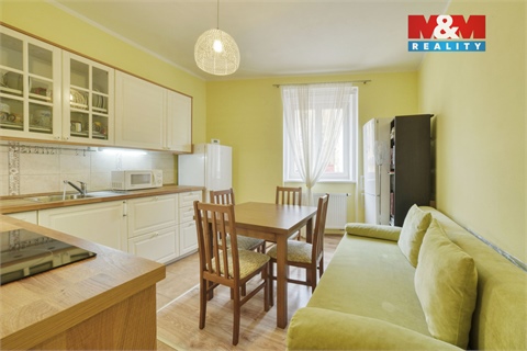 Pronájem bytu 1+1, 45 m² - 10