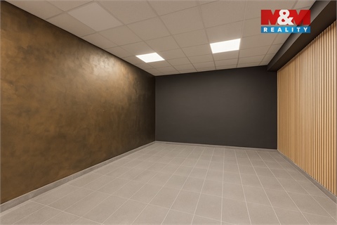 Pronájem obchodních prostor, 210 m² - 20