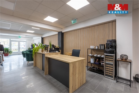 Pronájem obchodních prostor, 210 m² 10