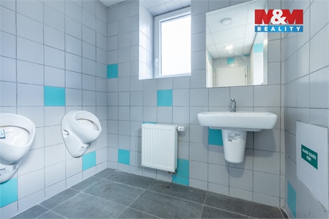 Pronájem obchodních prostor, 210 m² 20