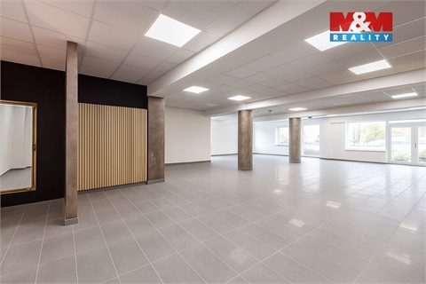 Pronájem obchodních prostor, 210 m² 12