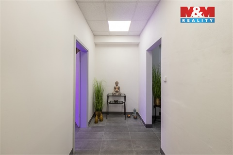 Pronájem obchodních prostor, 210 m² - 22