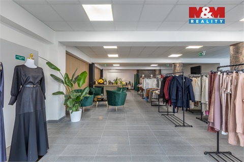 Pronájem obchodních prostor, 210 m² - 6