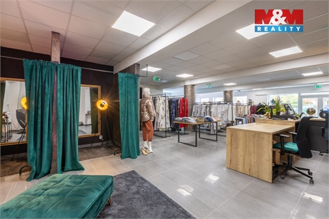 Pronájem obchodních prostor, 210 m² - 12
