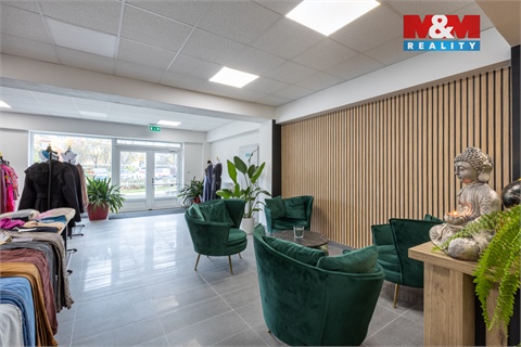 Pronájem obchodních prostor, 210 m² - 8