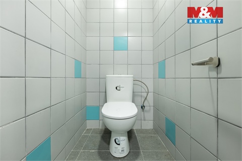 Pronájem obchodních prostor, 210 m² 18