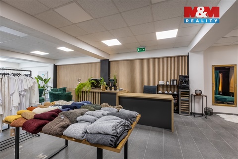 Pronájem obchodních prostor, 210 m² - 14