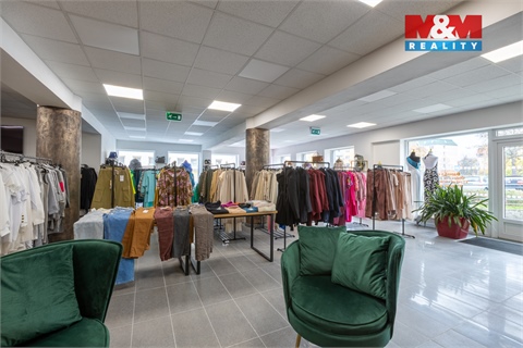 Pronájem obchodních prostor, 210 m² 6