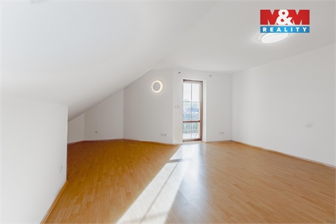 Pronájem rodinného domu, 406 m² 22