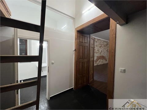 Pronájem bytu 1kk, 57 m² - 6