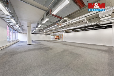 Pronájem obchodních prostor, 230 m² 4