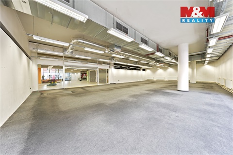 Pronájem obchodních prostor, 230 m² - 2